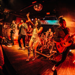 allround band boeken, the tour, partyband boeken