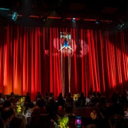 Dinnershow organiseren, bedrijfsfeest organiseren, dinnershow inspiratie