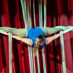 Dinnershow organiseren, bedrijfsfeest organiseren, dinnershow inspiratie