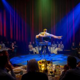 Dinnershow organiseren, bedrijfsfeest organiseren, dinnershow inspiratie
