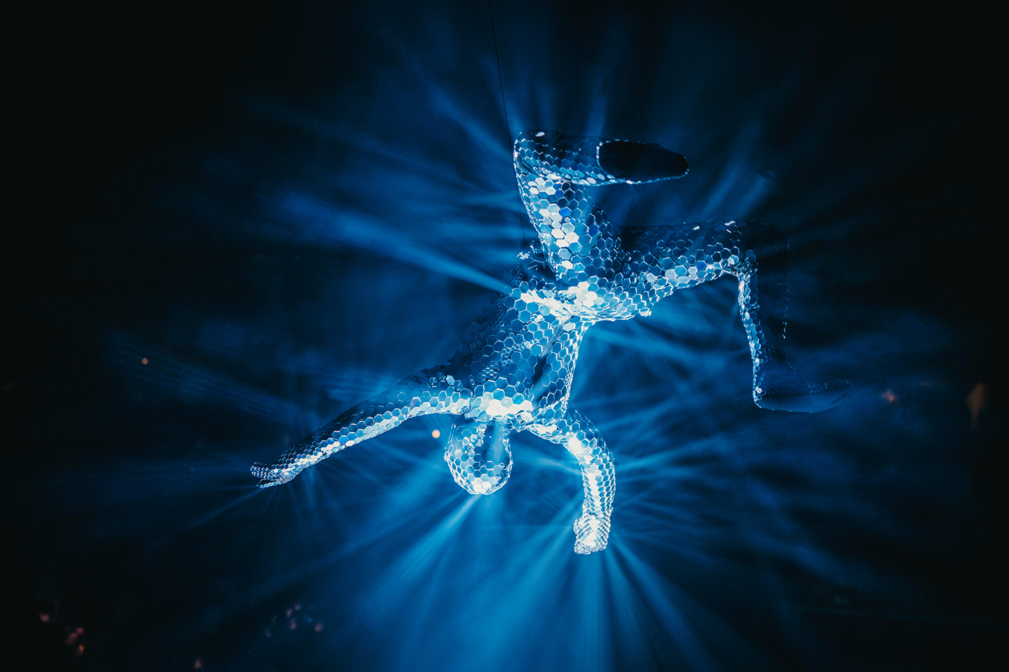 TKF - 95 jaar Jubileumfeest organiseren