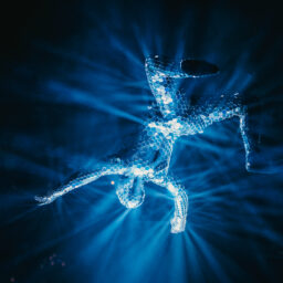 TKF - 95 jaar Jubileumfeest organiseren