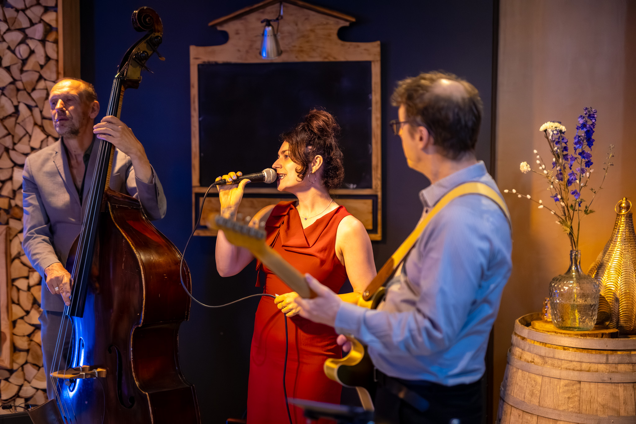 jubileumfeest entertainment origineel